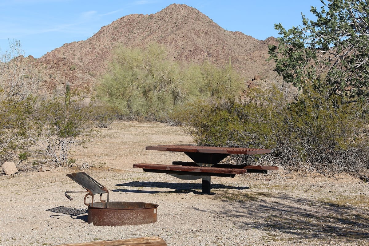 A paved RV resort site under desert palm trees, typical of the full-hookup resorts near the Las Vegas Strip